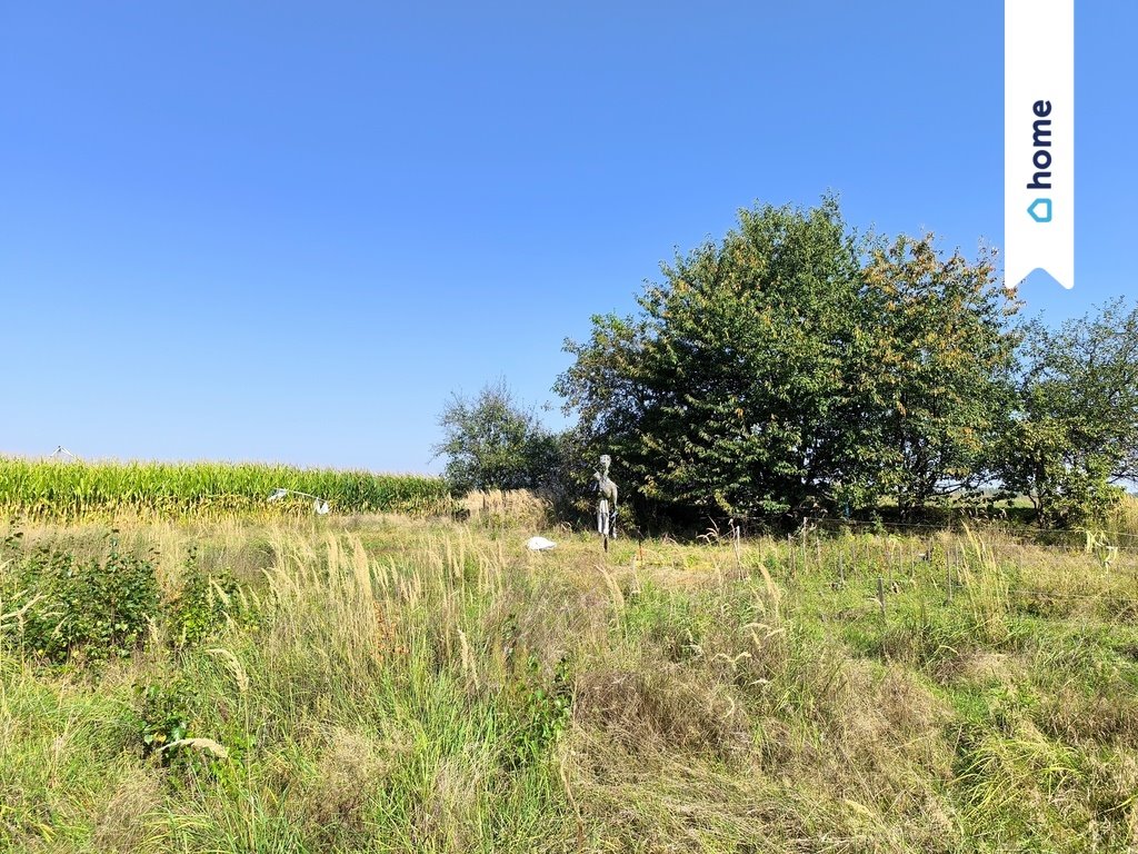 Działka budowlana na sprzedaż Cholerzyn  1 514m2 Foto 8