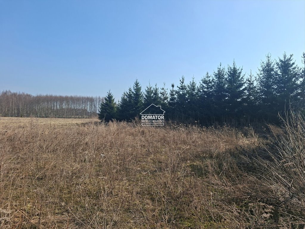 Działka 3008 m2 w Olimpinie – idealna pod dom! Olimpin  3 008m2 Foto 1