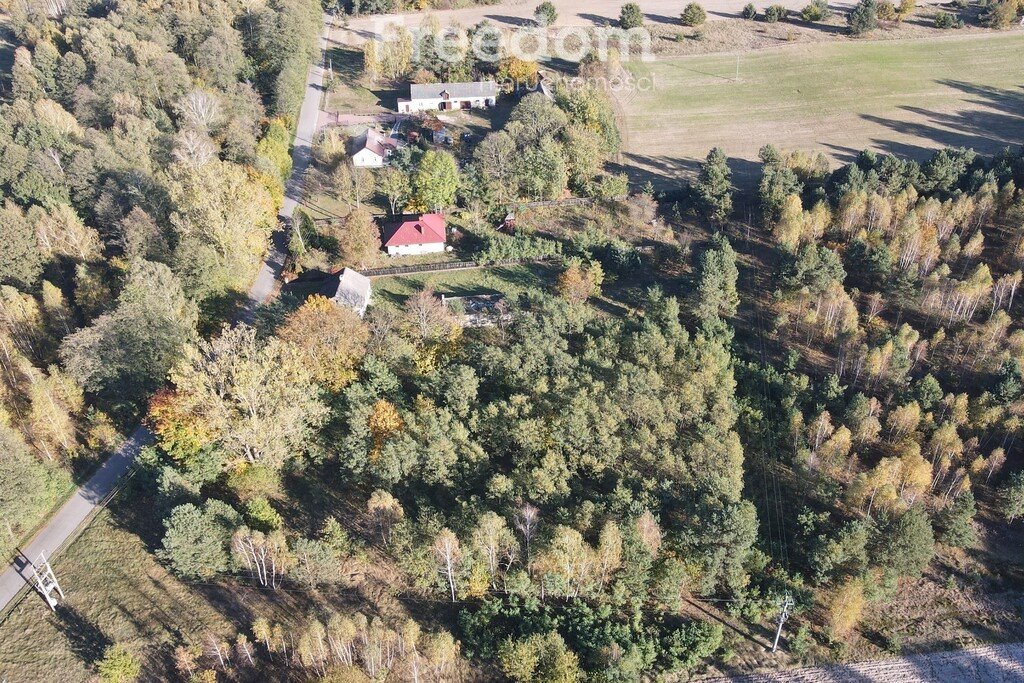 Działka budowlana na sprzedaż Toki  3 000m2 Foto 4