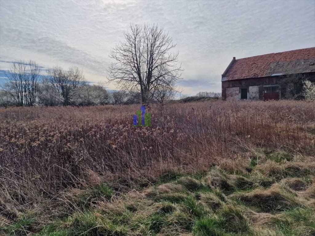 Działka budowlana na sprzedaż Jeszkowice  5 046m2 Foto 8