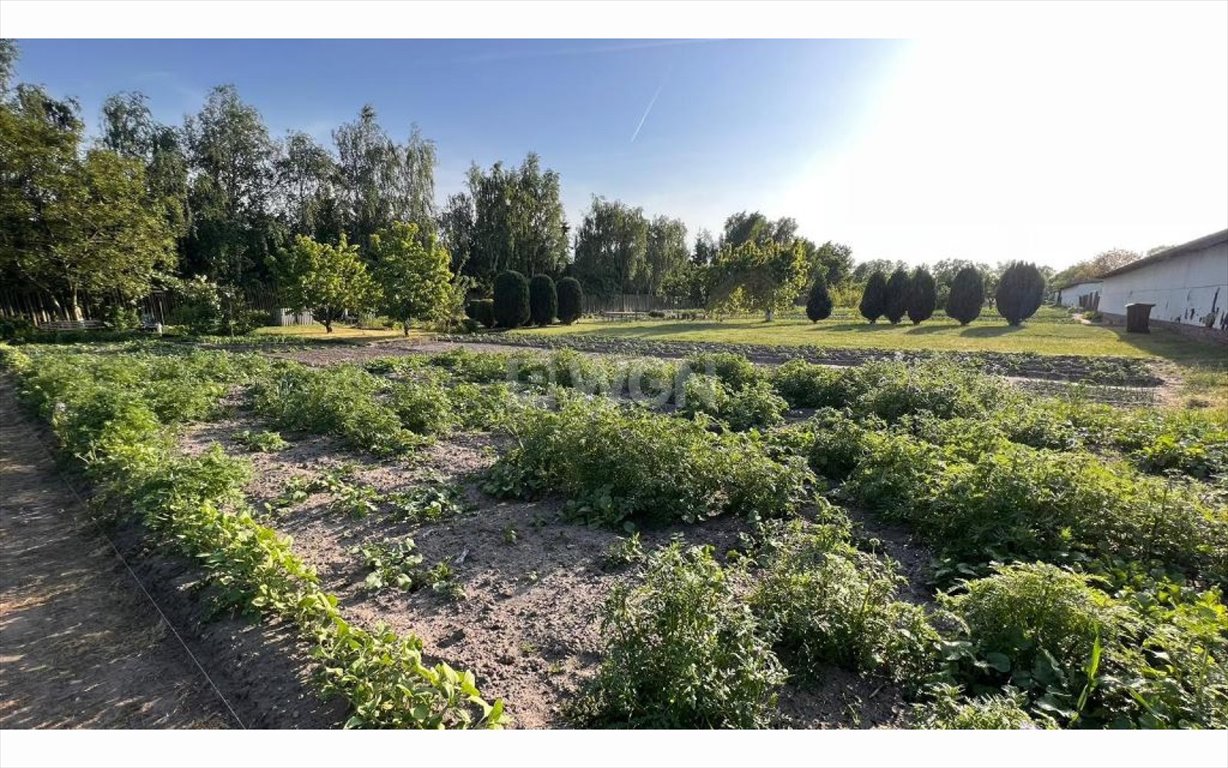 Mieszkanie trzypokojowe na sprzedaż Brzezie, Stawiszyńska  57m2 Foto 12