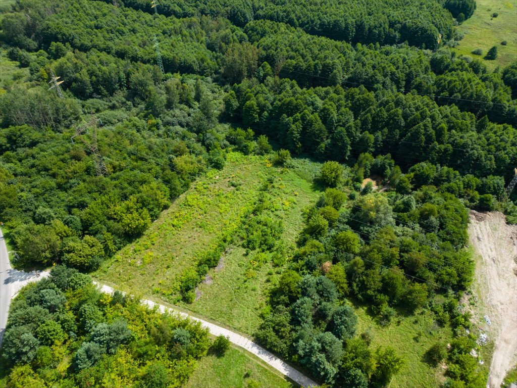 Działka rolna na sprzedaż Ostrowiec Świętokrzyski, Wschodnia  2 945m2 Foto 6