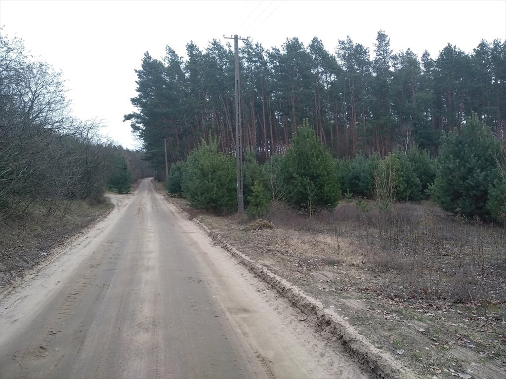 Działka budowlana na sprzedaż Bolęcin  1 500m2 Foto 1