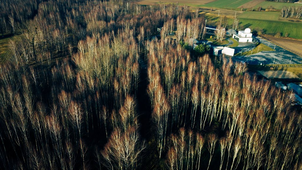 Działka budowlana na sprzedaż Konarzew  1 391m2 Foto 11