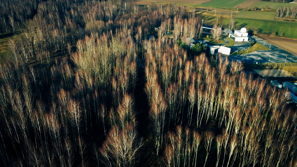 Działka budowlana na sprzedaż Piątek  1 391m2 Foto 11