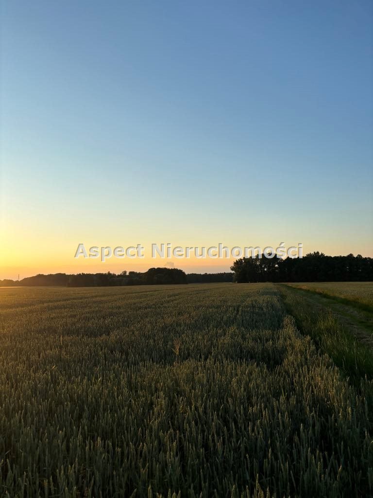 Działka rolna na sprzedaż Pruchna  11 560m2 Foto 2