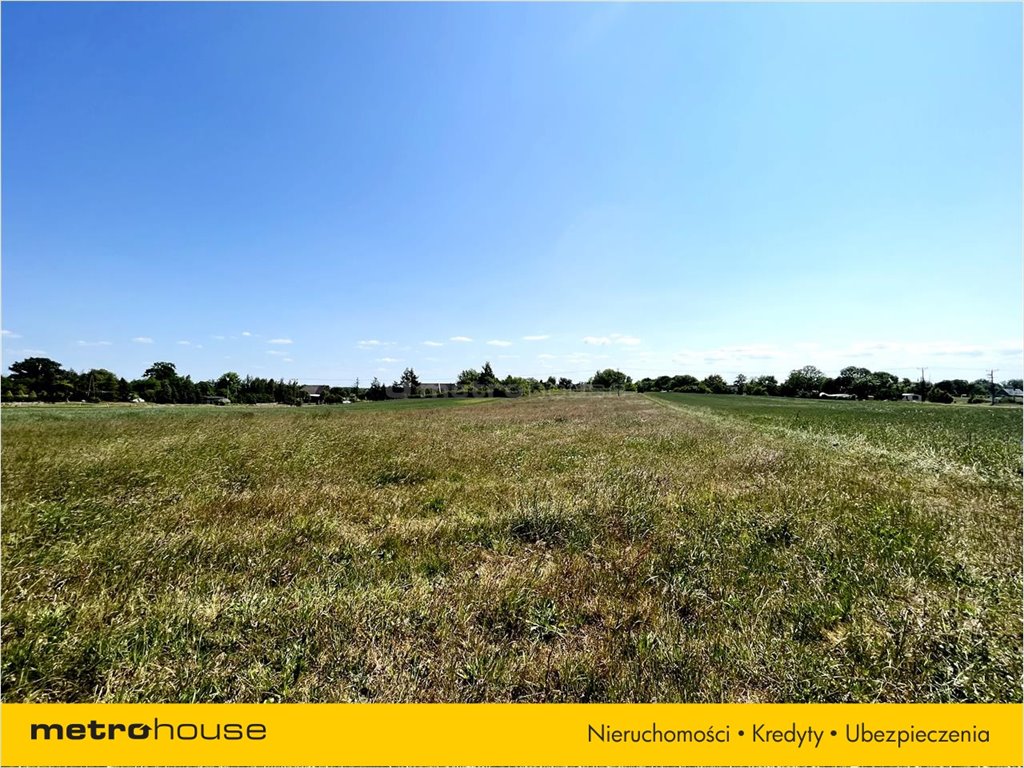 Działka rolna na sprzedaż Rogozina, Trzebiatów  1 585m2 Foto 3