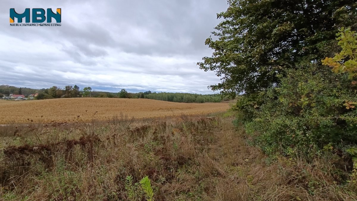 Działka budowlana na sprzedaż gajewo, gajewo, gajewo  1 131m2 Foto 9