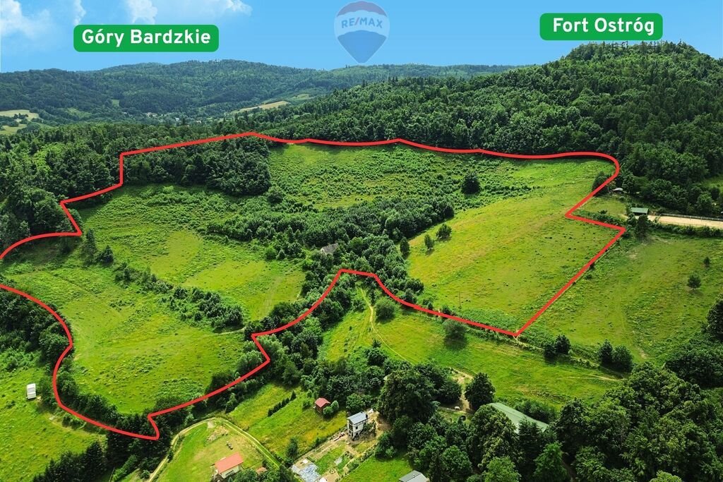 Działka inwestycyjna na sprzedaż Srebrna Góra  92 407m2 Foto 1