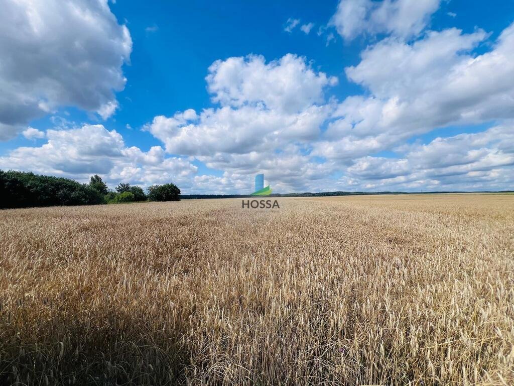 Działka budowlana na sprzedaż Radomin  15 898m2 Foto 6