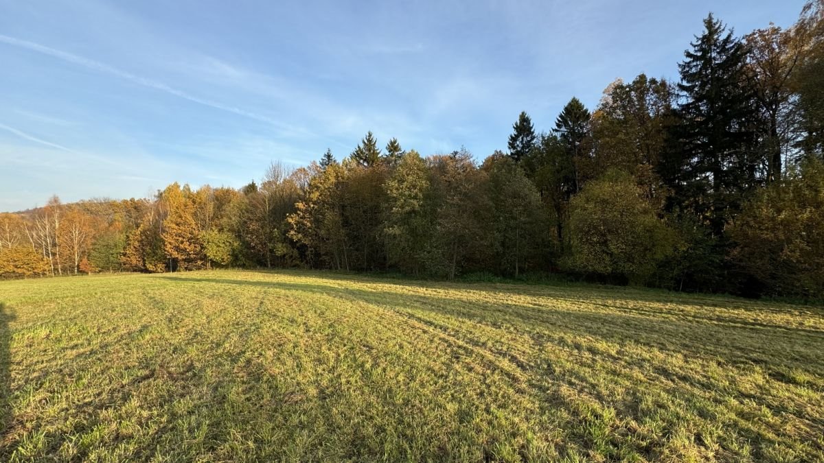 Działka rolna na sprzedaż Siedlęcin  9 400m2 Foto 7