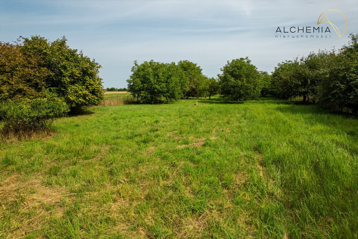 Działka budowlana na sprzedaż Babice Nowe, Dolna  5 683m2 Foto 10