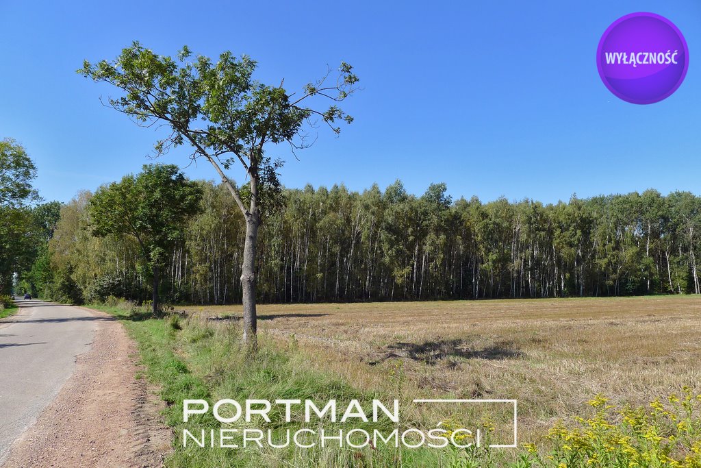 Działka 15 200 m² z dojazdem asfaltowym i spokojem Dobrzyniec  15 200m2 Foto 1