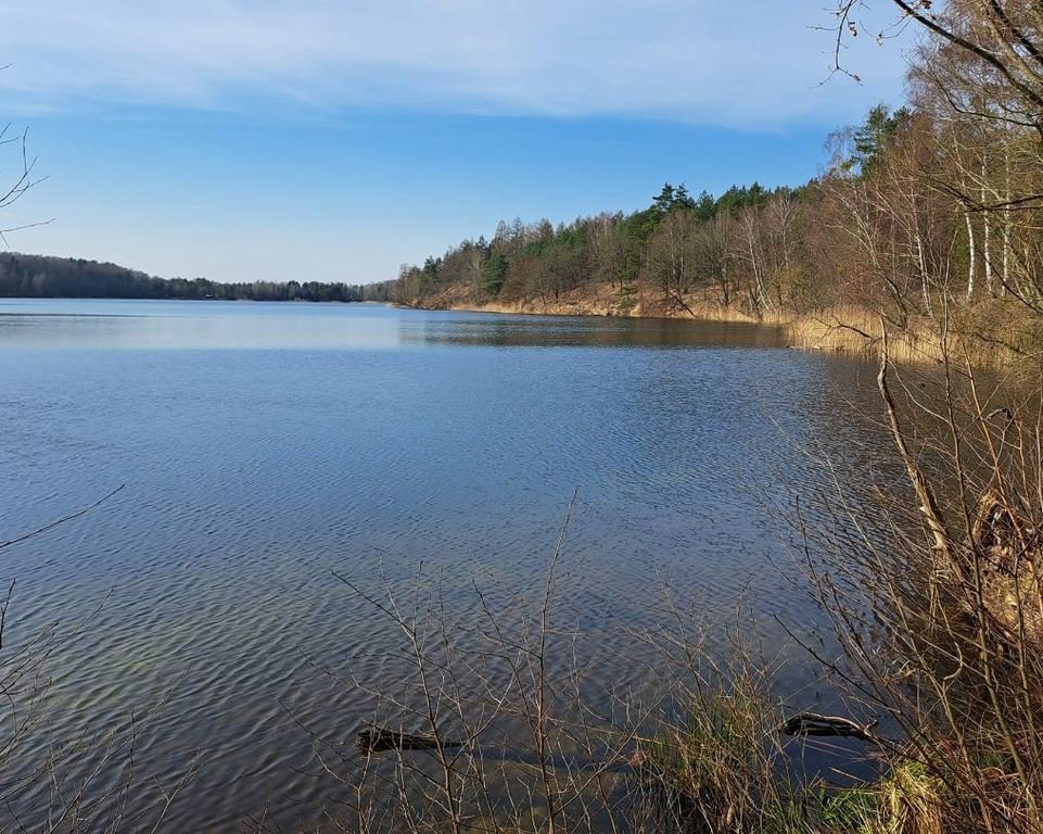 Działka budowlana na sprzedaż Czarnogłowy  1 300m2 Foto 9