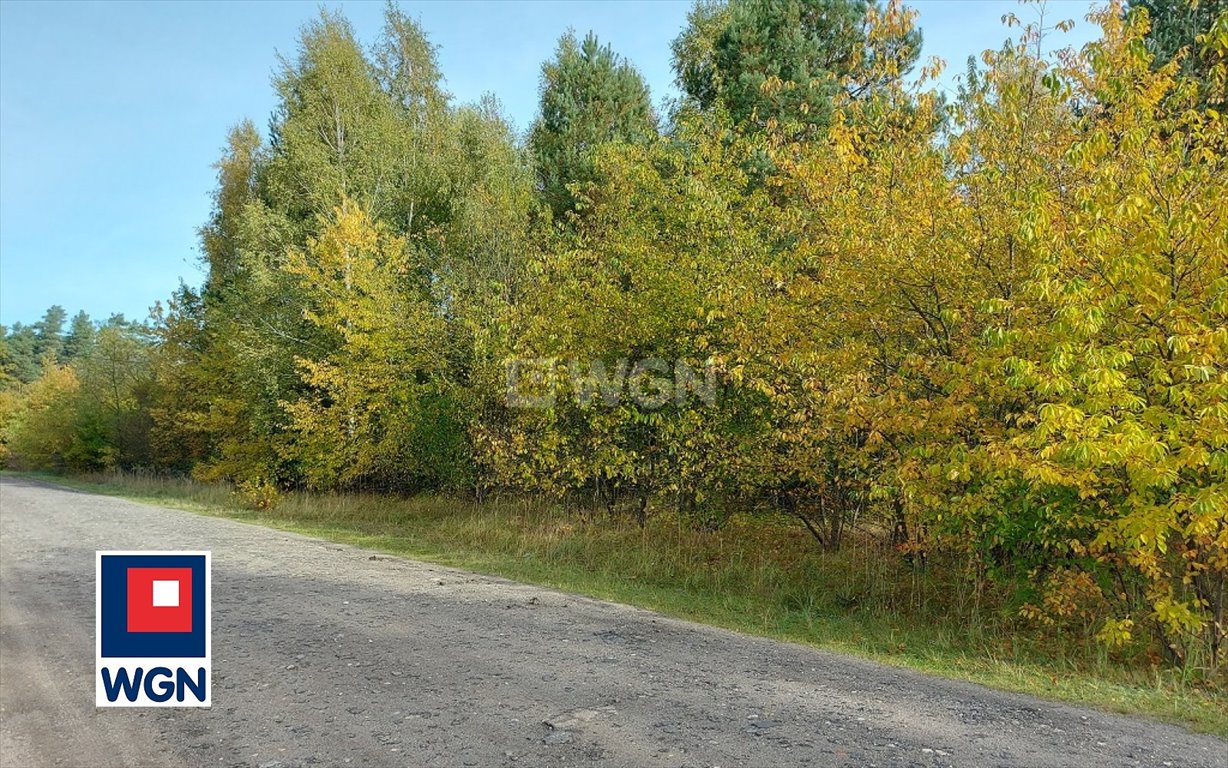 Działka budowlana na sprzedaż Kalej, Kalej, Strażacka  1 264m2 Foto 5