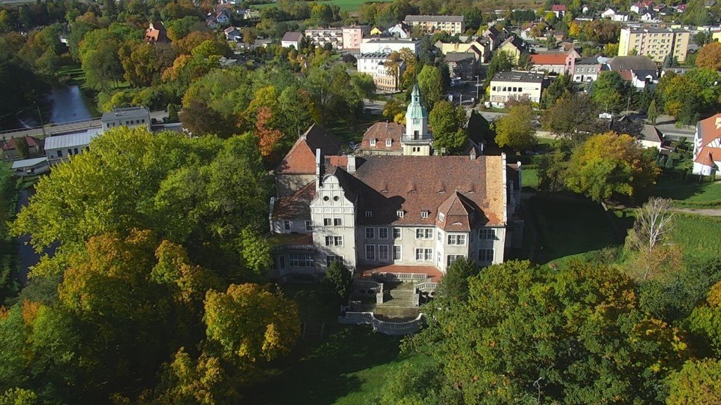 Lokal użytkowy na sprzedaż Płoty, Henryka Sienkiewicza  1 356m2 Foto 3