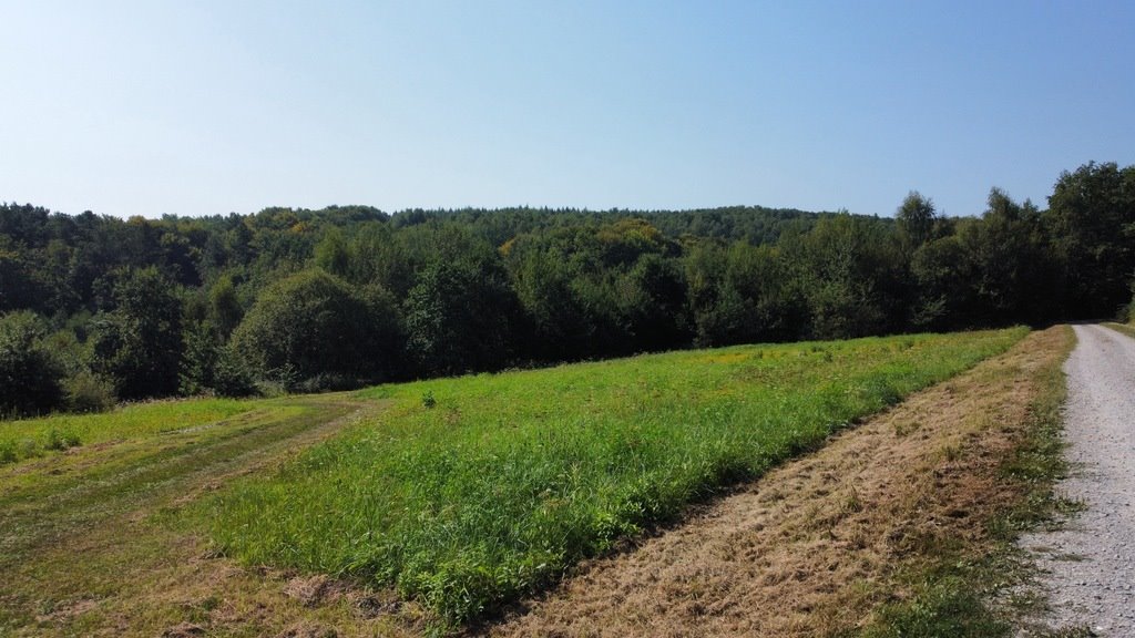 Działka budowlana na sprzedaż Nowy Borek  4 175m2 Foto 6