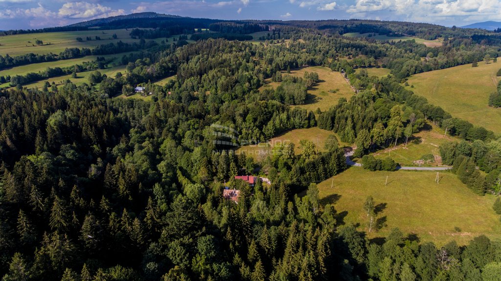 Dom na sprzedaż Niemojów  100m2 Foto 15