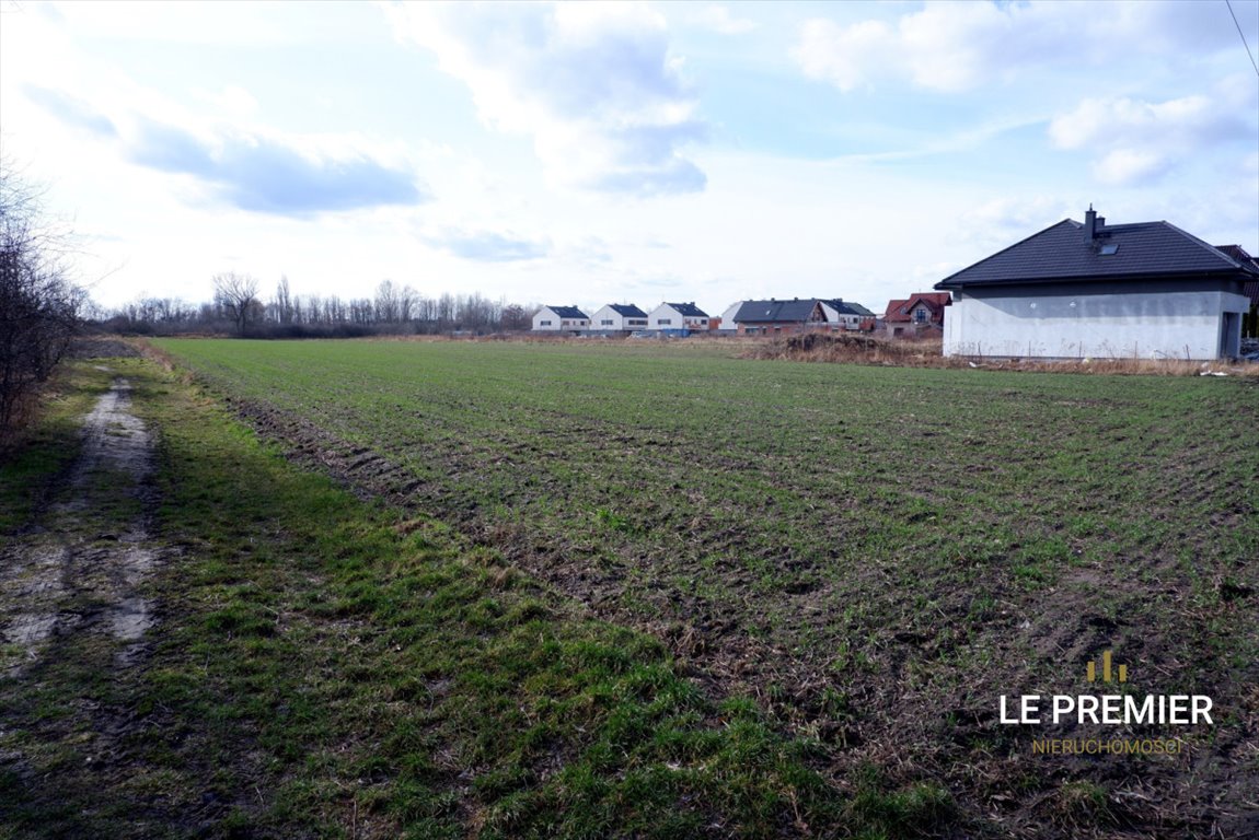 Działka budowlana na sprzedaż Radwanice  7 200m2 Foto 3