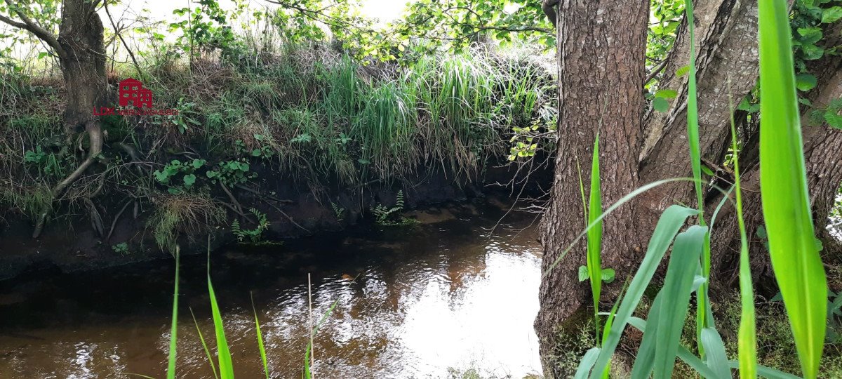 Działka leśna na sprzedaż Kębłowo  14 300m2 Foto 6