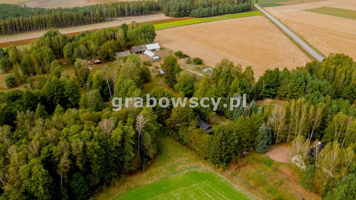 Działka inna na sprzedaż Czerewki  3 043m2 Foto 4