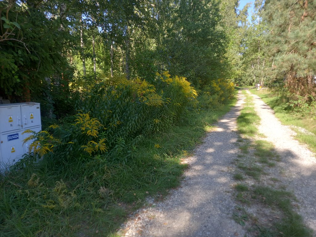 Działka budowlana na sprzedaż Siestrzeń, Nad Lasem  1 689m2 Foto 2