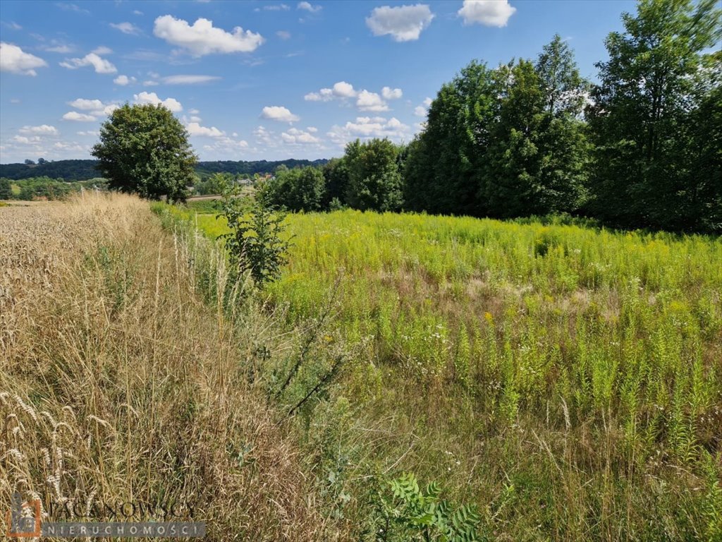 Działka budowlana na sprzedaż Baranówka  1 480m2 Foto 6