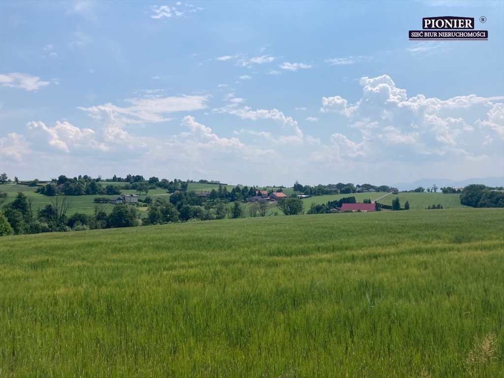 Działka rolna na sprzedaż Zamarski  70 000m2 Foto 4