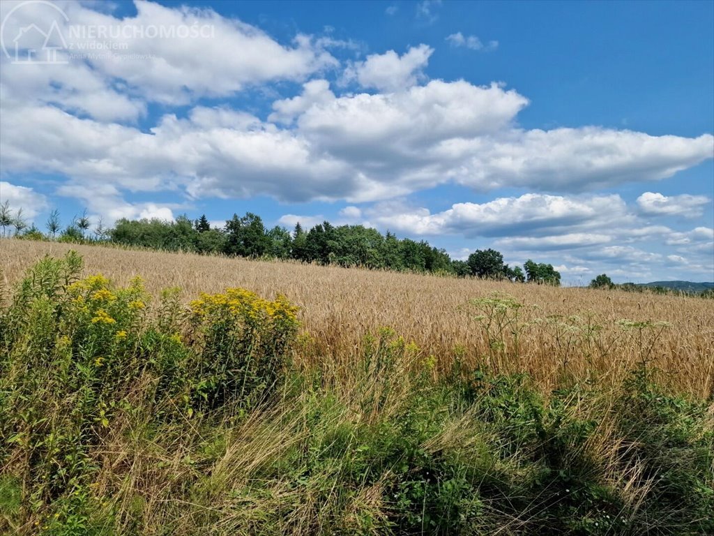 Działka budowlana na sprzedaż Błażkowa  2 200m2 Foto 9