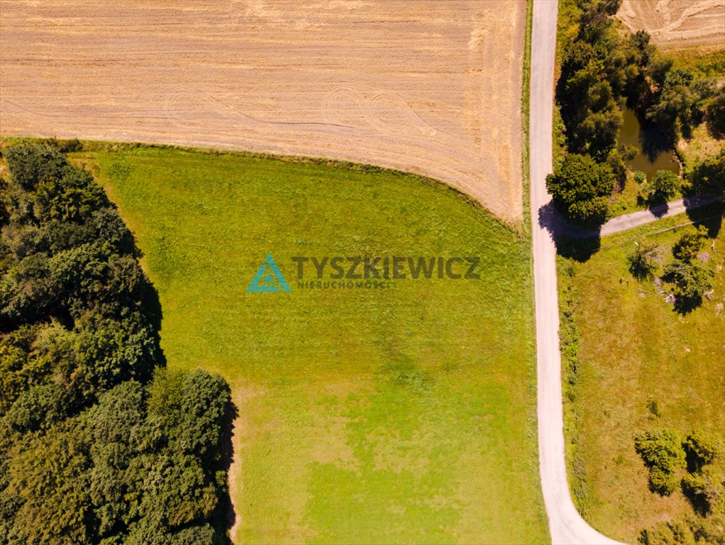 Zdjęcie 7