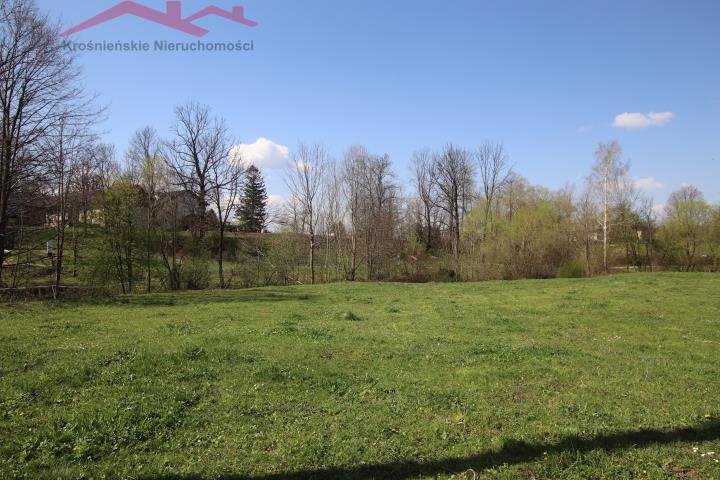 Spokojna działka 45 arów z mediami, asfalt, blisko natury Zarszyn  4 500m2 Foto 1