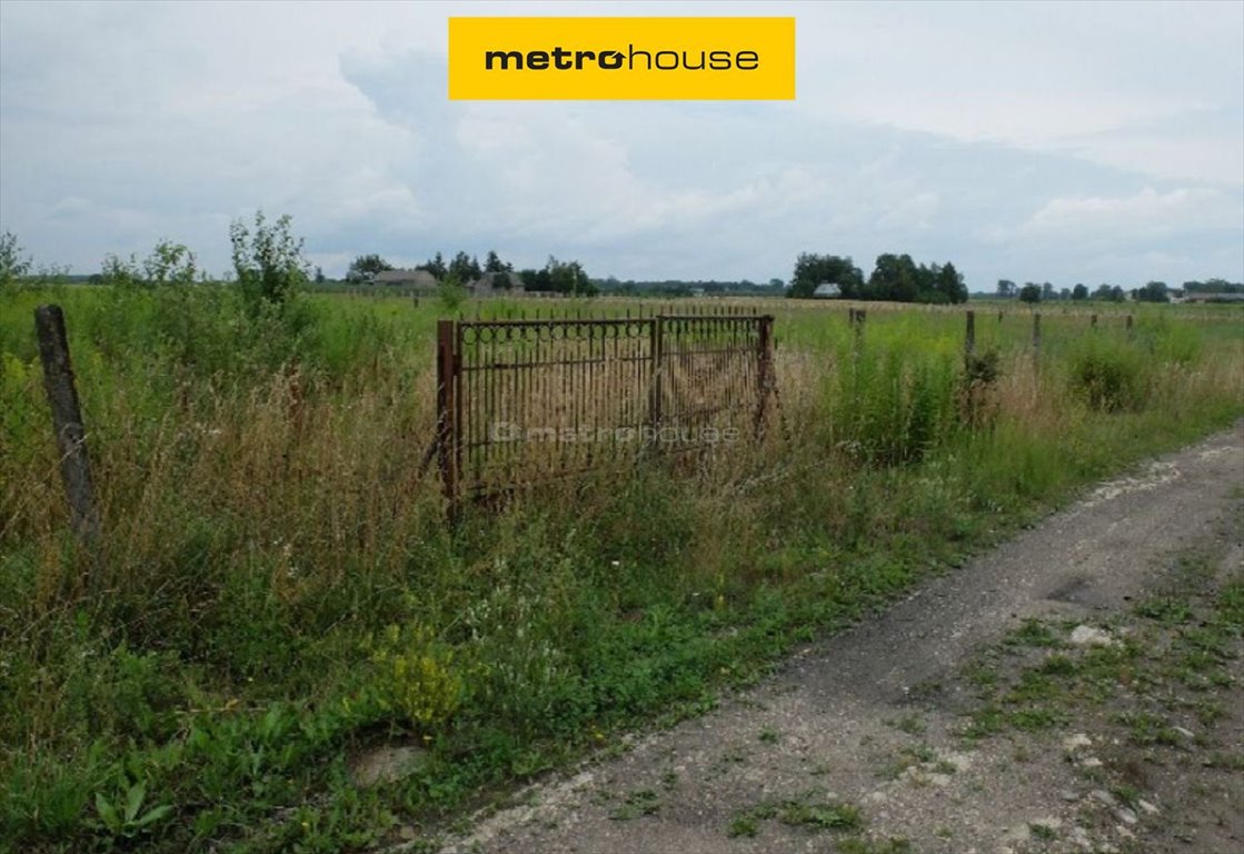 Działka rolna na sprzedaż Podlindowo  16 840m2 Foto 1