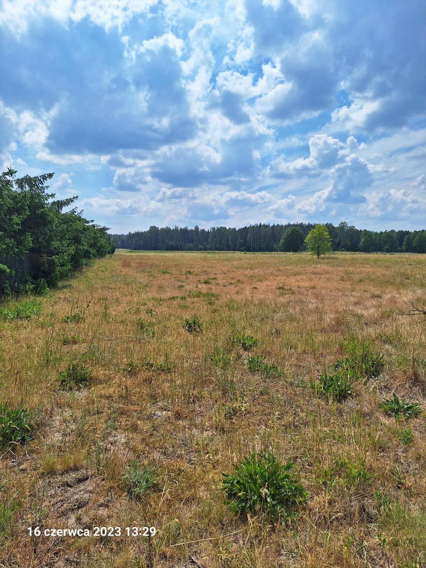 Działka budowlana na sprzedaż Wielbark  3 467m2 Foto 2