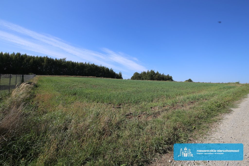 Działka budowlana na sprzedaż Niechobrz  5 000m2 Foto 2