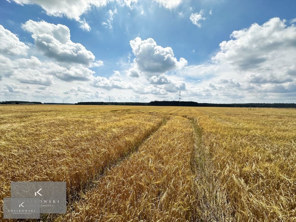 Działka inna na sprzedaż Namysłów, Smarchowice Wielkie-Apostoły  878m2 Foto 6