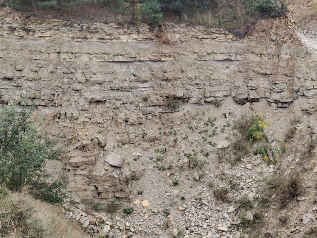 Działka inwestycyjna na sprzedaż Miasteczko Śląskie, Żyglin  4 027m2 Foto 17