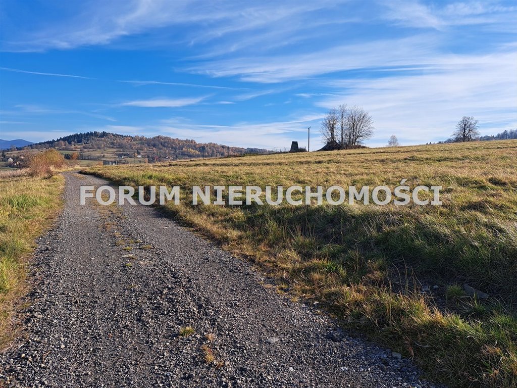 Działka budowlana na sprzedaż Laliki  1 699m2 Foto 3