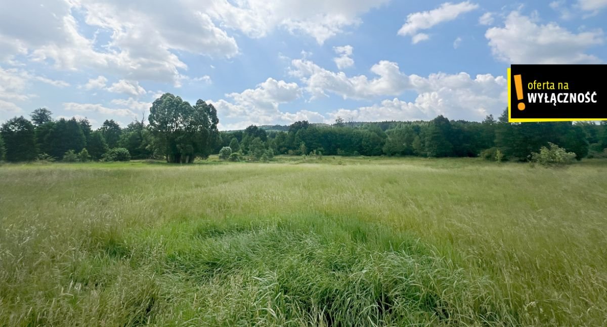 Działka budowlana na sprzedaż Kajetanów  1 800m2 Foto 2