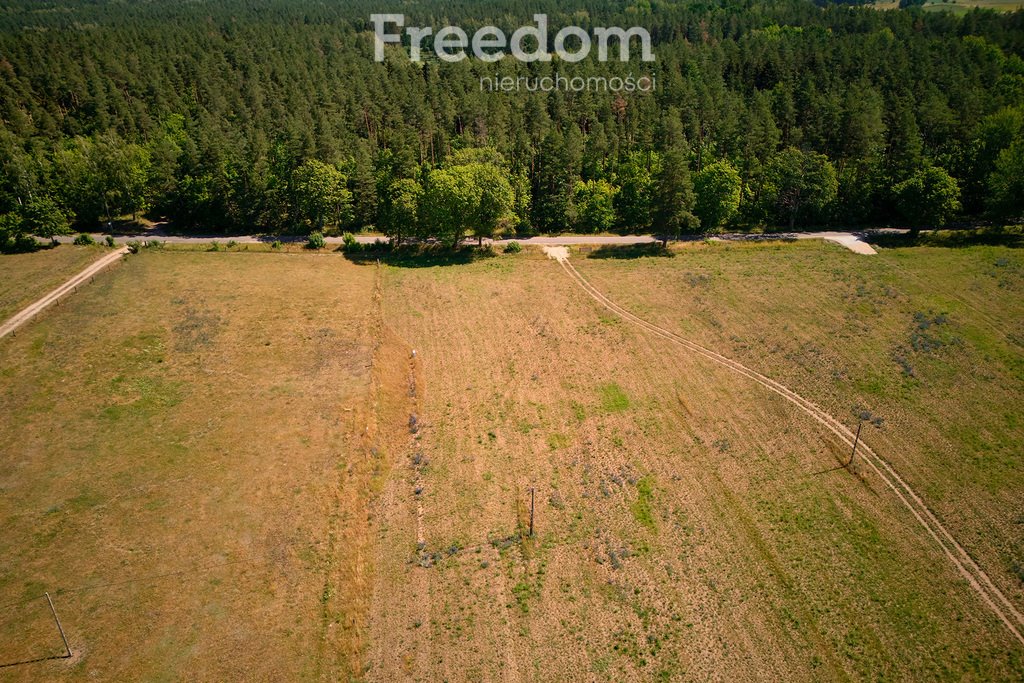 Działka inna na sprzedaż Krzywe  3 003m2 Foto 6