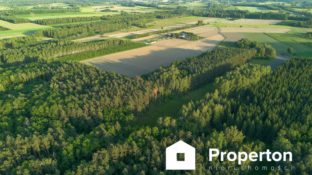 Działka inna na sprzedaż Lublinów, Skierniewicka  21 900m2 Foto 1