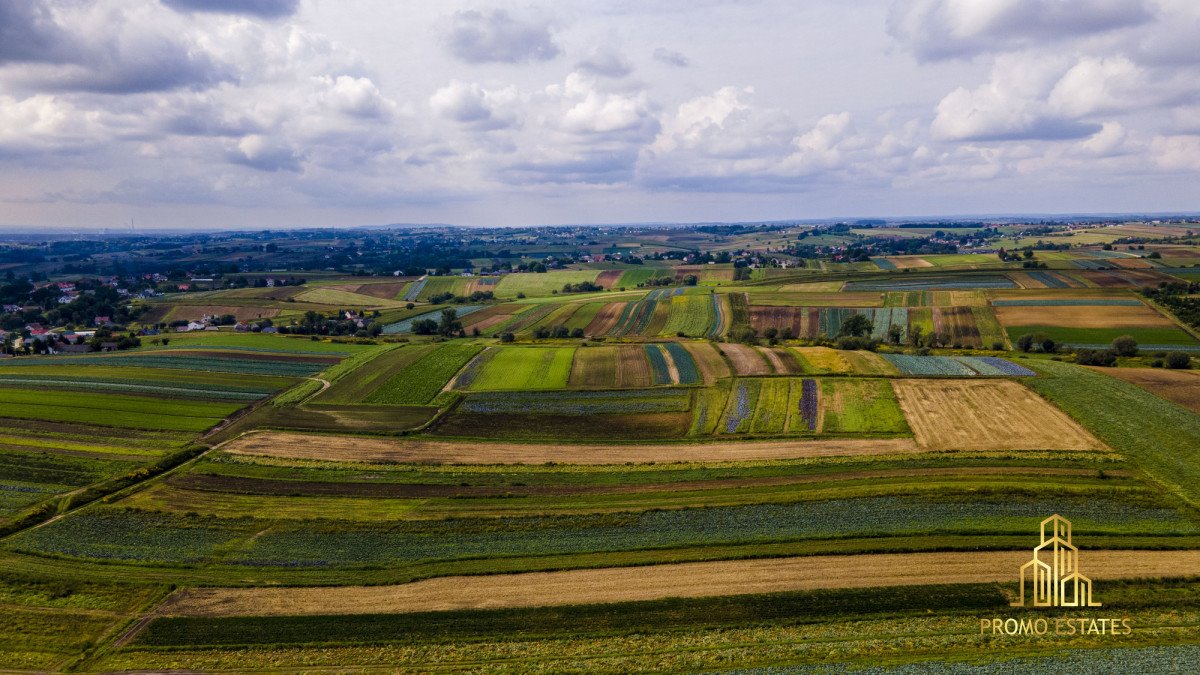 Działka gospodarstwo rolne na sprzedaż Czulice  6 900m2 Foto 8