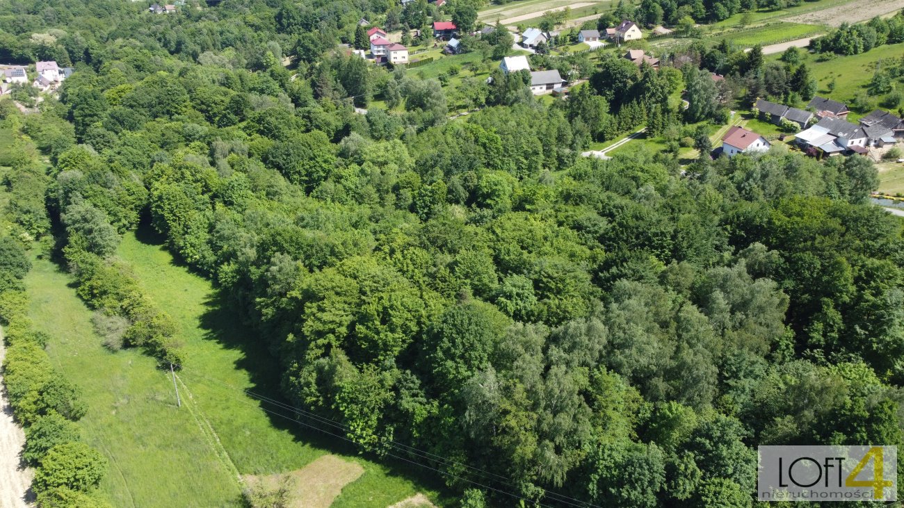 Działka inna na sprzedaż Łysa Góra  5 500m2 Foto 12