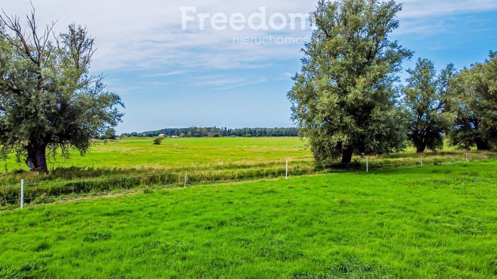 Działka rolna na sprzedaż Korzystno, Migdałowa  34 400m2 Foto 12