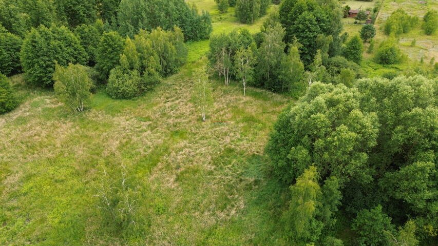 Działka budowlana na sprzedaż Biały Ług, Biały Ług  1 100m2 Foto 4