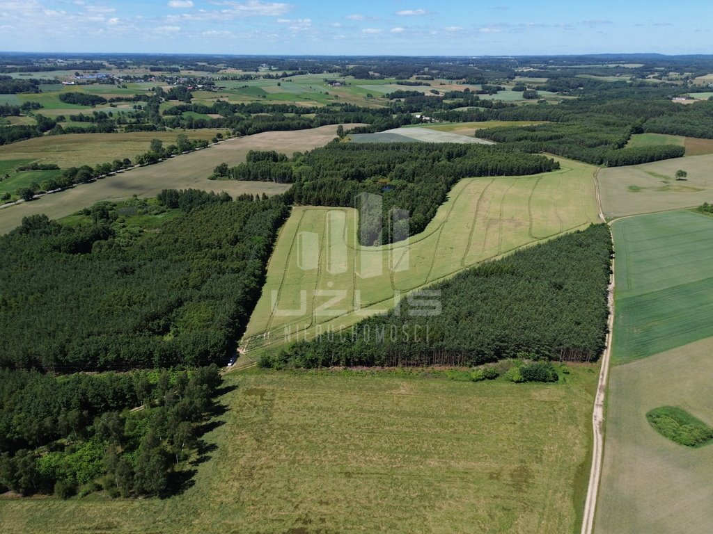 Działka leśna na sprzedaż Wysin  17 600m2 Foto 2