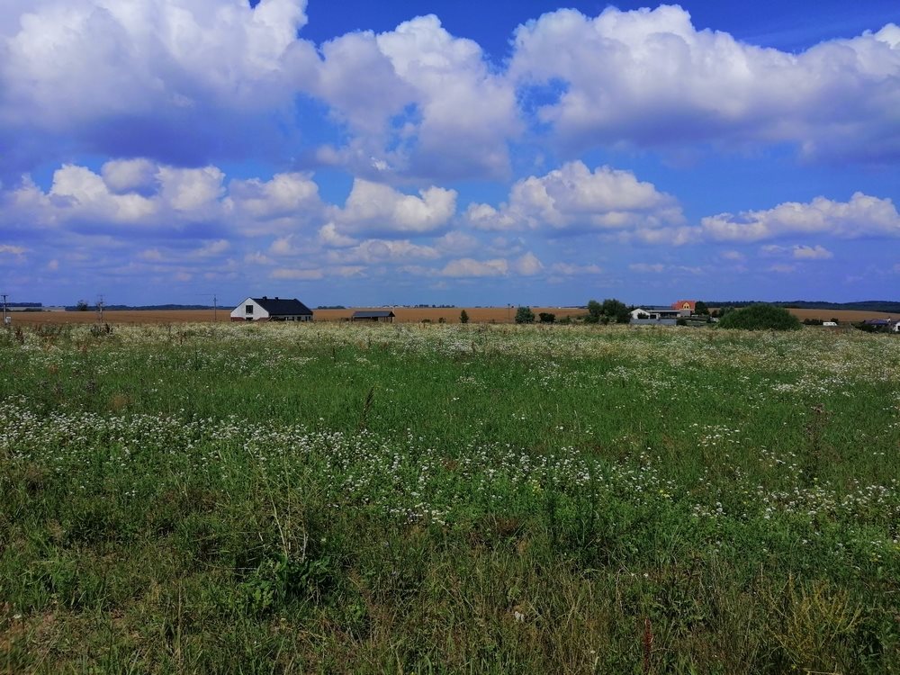 Działka pod zabudowę z widokiem na Odrę, 3000 m2, Moczyły Moczyły  3 001m2 Foto 1