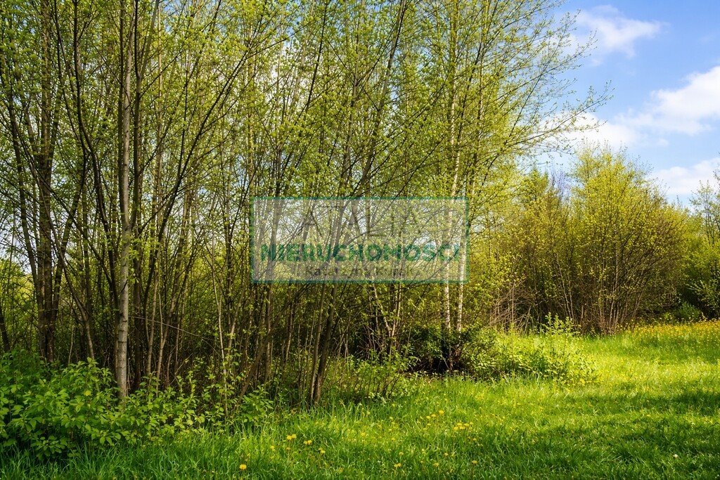 Działka rolna 8 700 m² z wodą i prądem - siedlisko Nowa Bukówka  8 700m2 Foto 1
