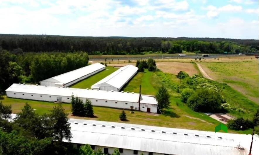 Lokal użytkowy na sprzedaż Skwierzyna, Spokojna  5 200m2 Foto 8