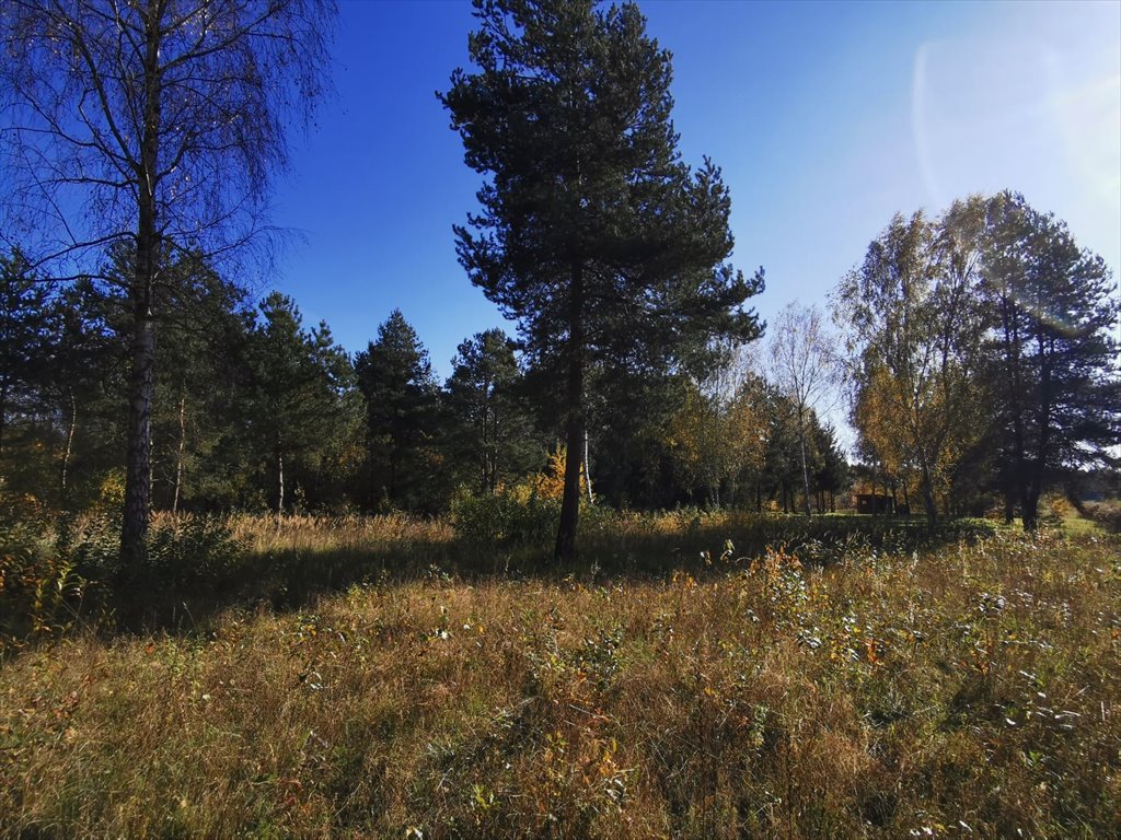 Działka budowlana na sprzedaż Częstochowa, Mirów, Hektarowa  1 089m2 Foto 7