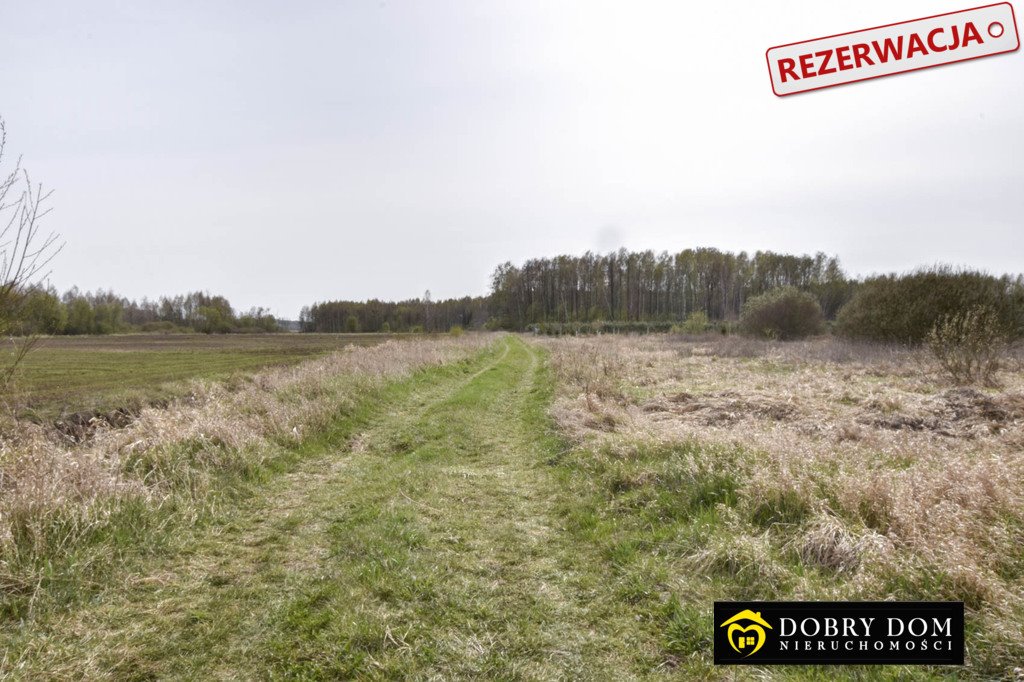Działka rolna na sprzedaż Hołody  5 700m2 Foto 1